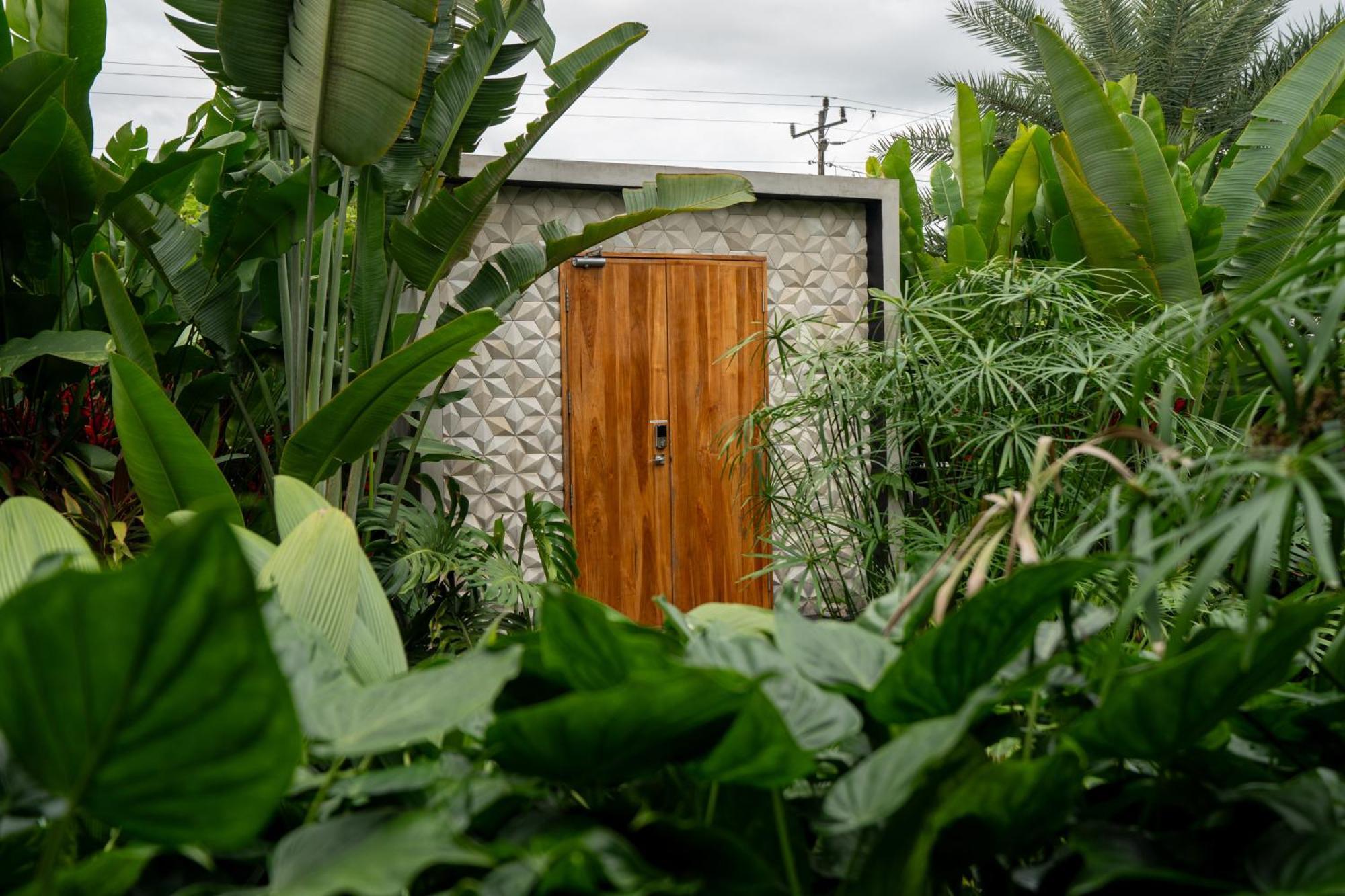 Suwa Villa Arenal La Fortuna المظهر الخارجي الصورة